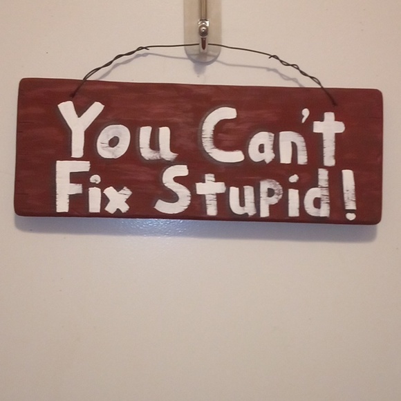 Hand Crafted Other - Handmade "You Can't Fix Stupid!" Decorative Sign